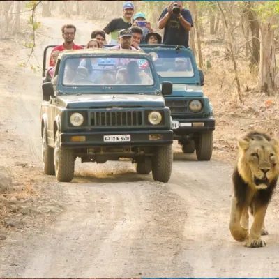 Gujarat Special Holiday Tour Temple, Statues & Wildlife