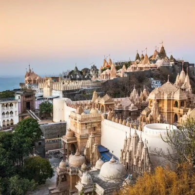 Gujarat Special Tour Temple, Statues & Wildlife