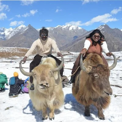 Kullu Manali Honeymoon Packages