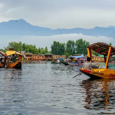 Paradise Kashmir Family Tour Package