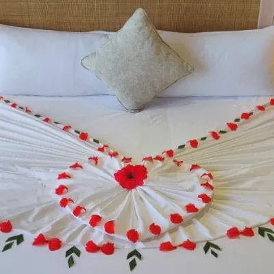 Dreamy Kashmir Vacation Honeymoon Tour Package