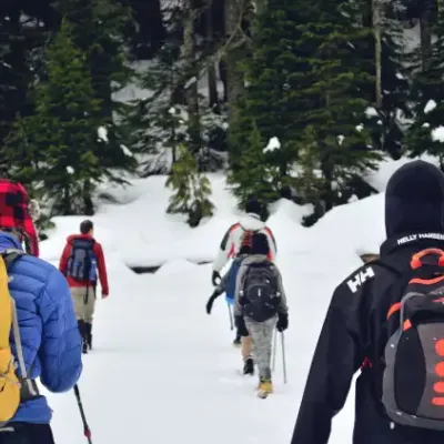 Kashmir Group Tour Package