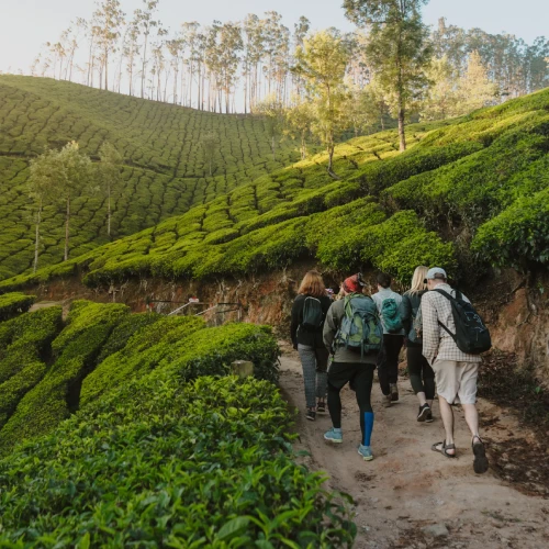 Kerala
