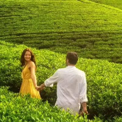 Kerala Wayanad Honeymoon Tour Packages
