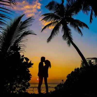 Budget Munnar Thekkady Alleppey Honeymoon Packages