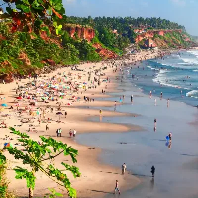 Kerala Houseboat & Jungle Safari Tour Package