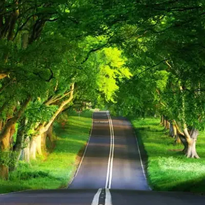 Incredible Kerala Tour Package