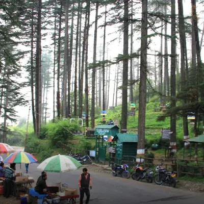 Auli and Chopta Tour Package