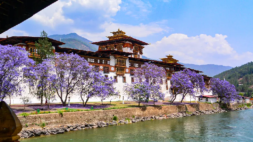 Soothing Bhutan Tour Package 