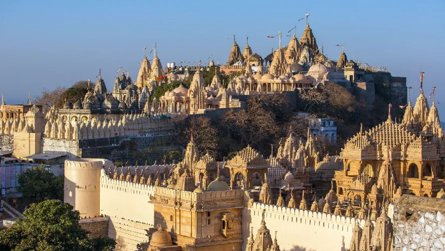 Enthralling Family Holiday in Gujarat