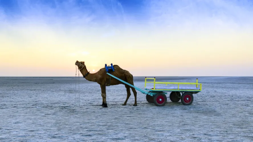 Popular Kutch Tour Package