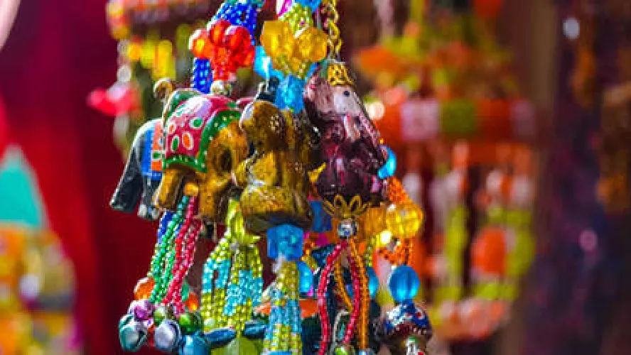 Divine Kutch Tour Package