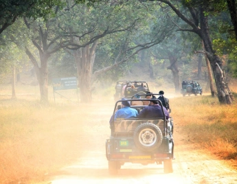 Kaziranga National Park Safari