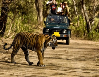 Pench National Park Tour Package
