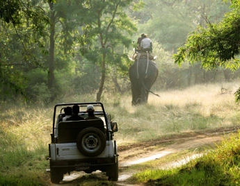 Kanha Bandhavgarh Tour