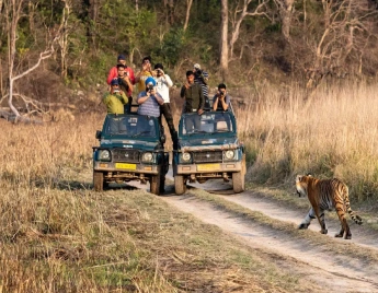 Wildlife Safari Tour in India