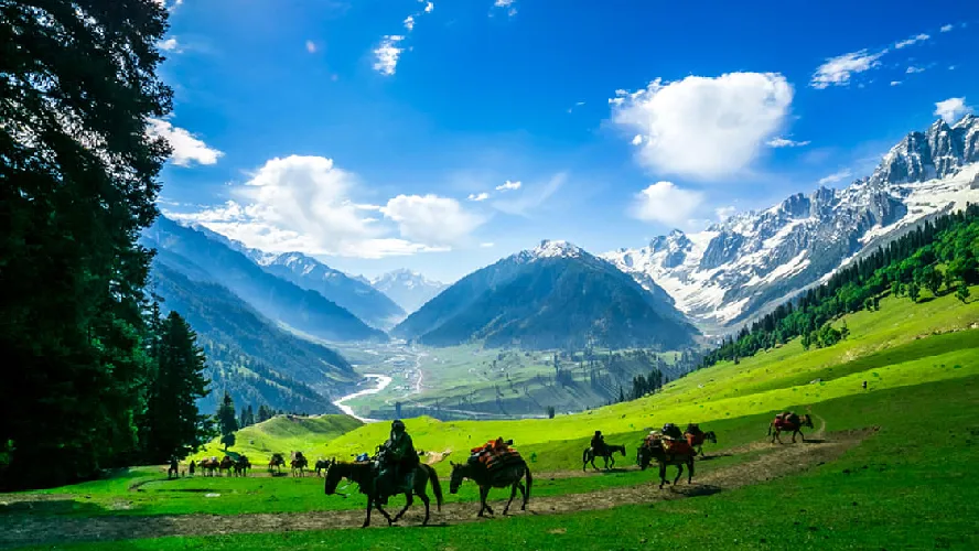 An Enthralling Kashmir Tour Packages
