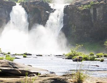 Enriching Kochi Munnar Tour Package