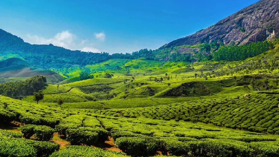 Kerala Family Holiday Package 