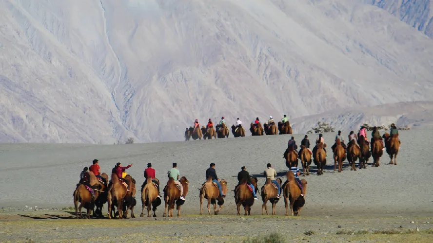 Engaging Leh Tour Package