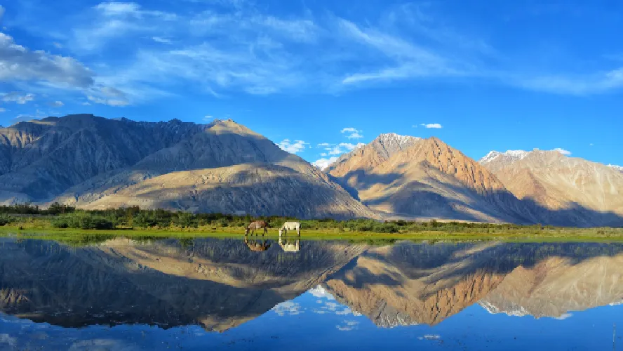 Amusing Ladakh Family Package
