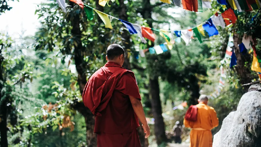 Discounted Nepal Tour Package