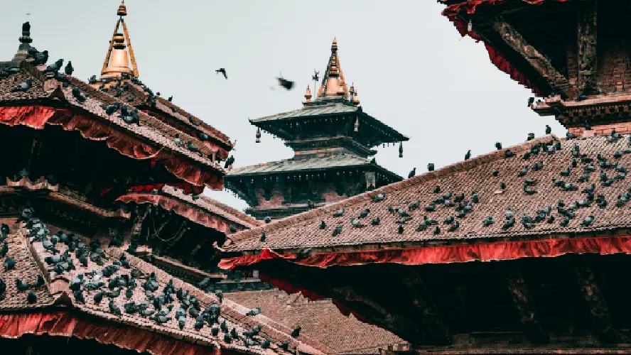 Discounted Nepal Tour Package
