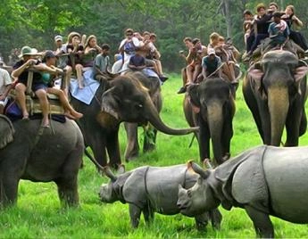 Peaceful Kaziranga North East Package