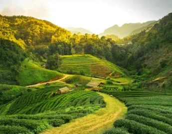 Delightful Assam Tourism Package