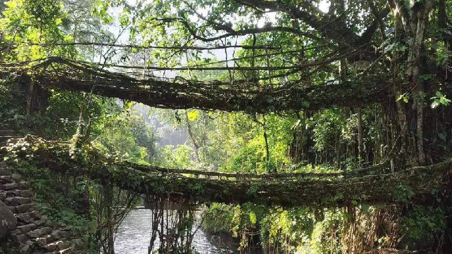Mesmerizing Meghalaya Tour Package