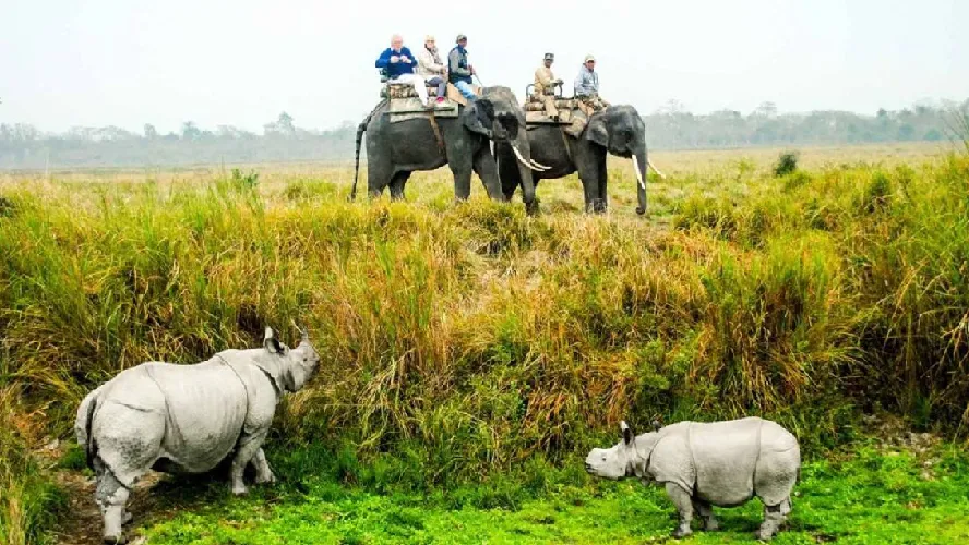 Peaceful Kaziranga North East Package