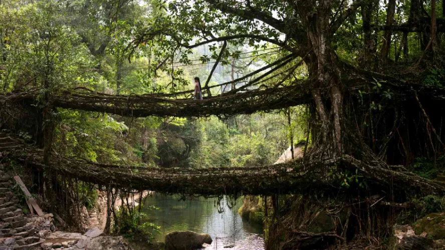 Cheerful Cherrapunji Tour Package