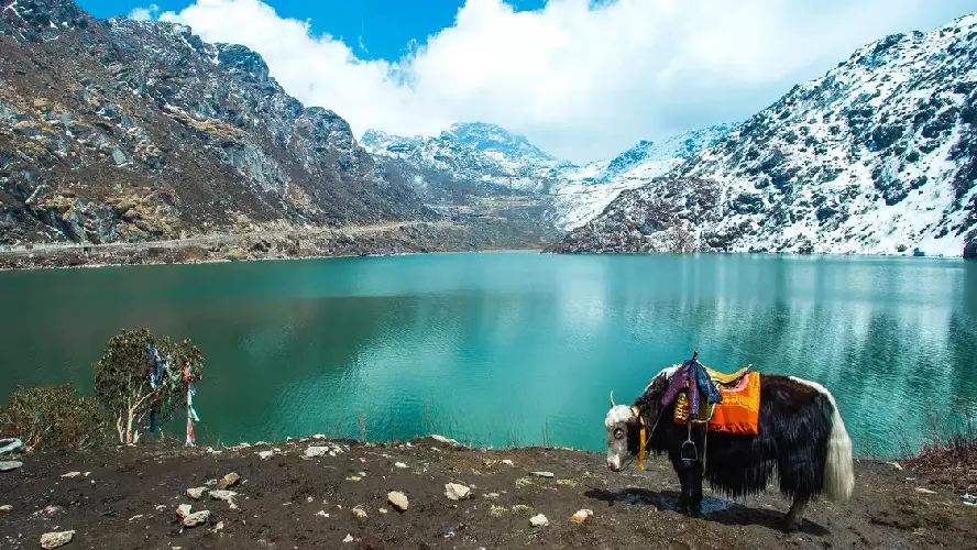 Sikkim Darjeeling Gangtok Trip Package