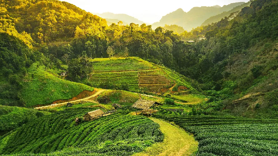 Delightful Assam Tourism Package