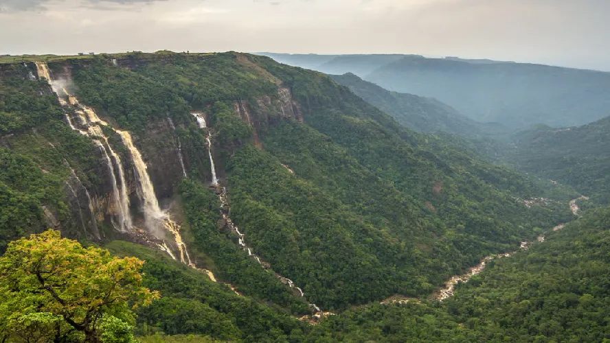 Delightful Assam Tourism Package