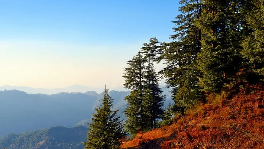 Sangla & Chitkul Tour Package