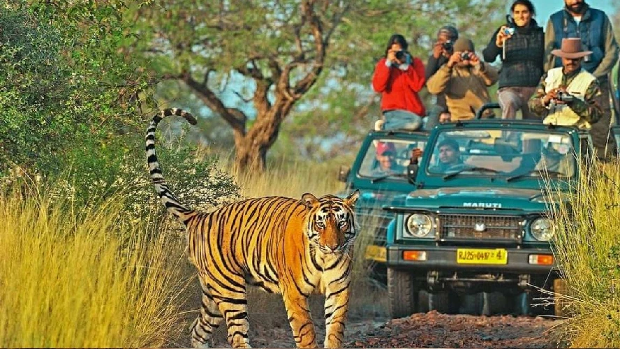 Stimulating Rajasthan Tour Package