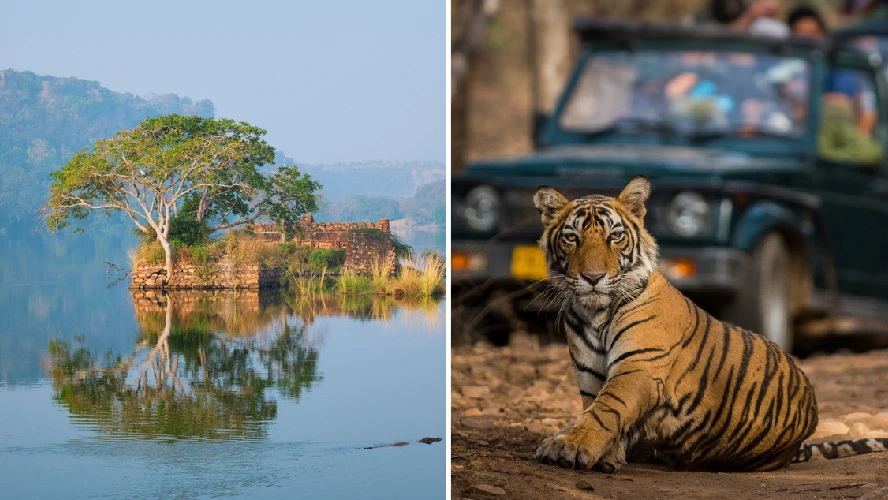 Stimulating Rajasthan Tour Package