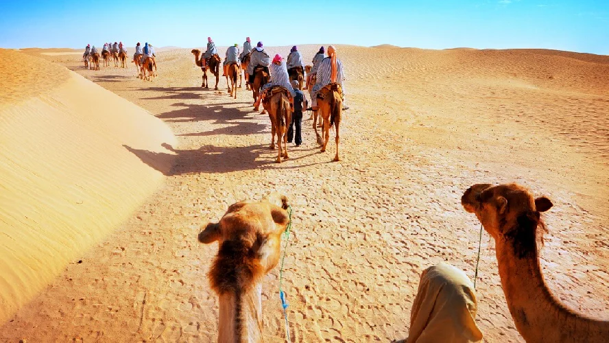 Splendid Jaisalmer Tour Package
