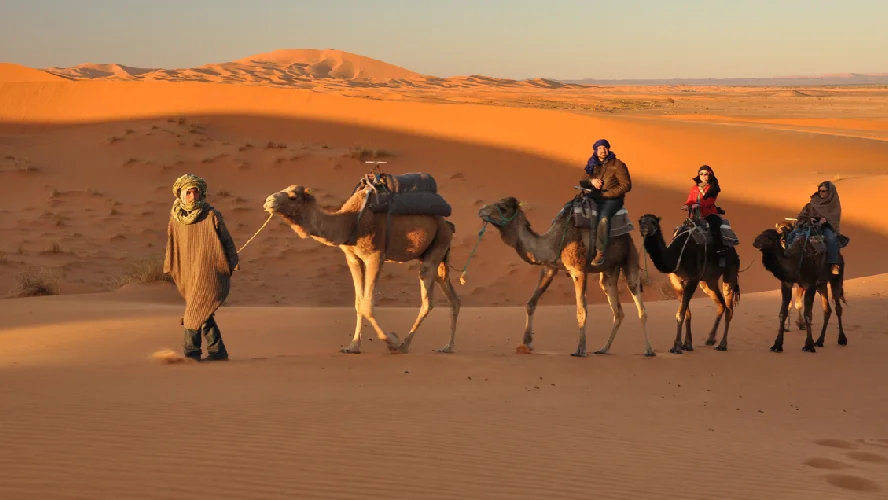 Splendid Jaisalmer Tour Package