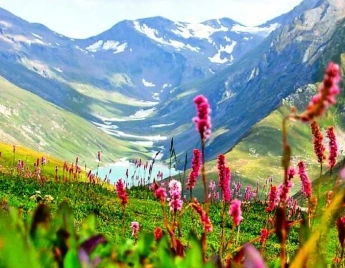 Valley of Flower Trek