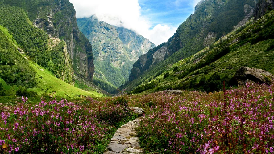 Har Ki Dun Trek
