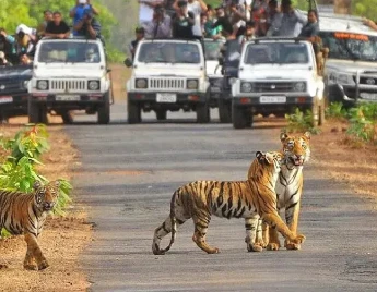 Amazing Jim Corbett Tour Package