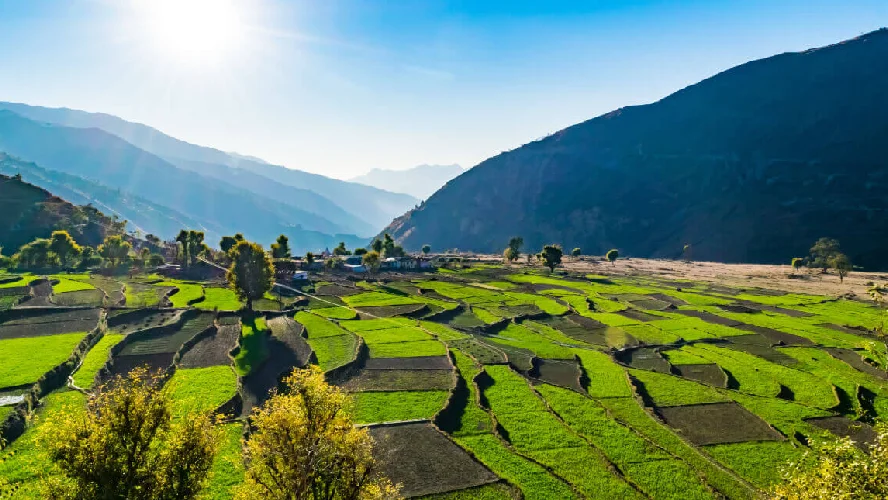 Uttarakhand Summer Special Tour Package