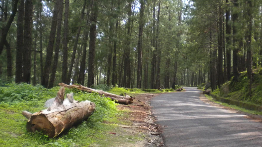 Mesmerising Lansdowne Tour Package