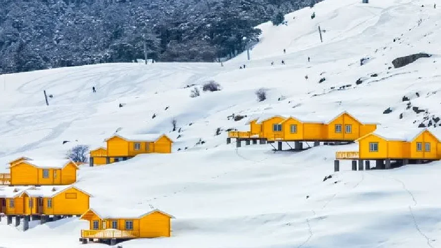 Stunning Auli Tour Package