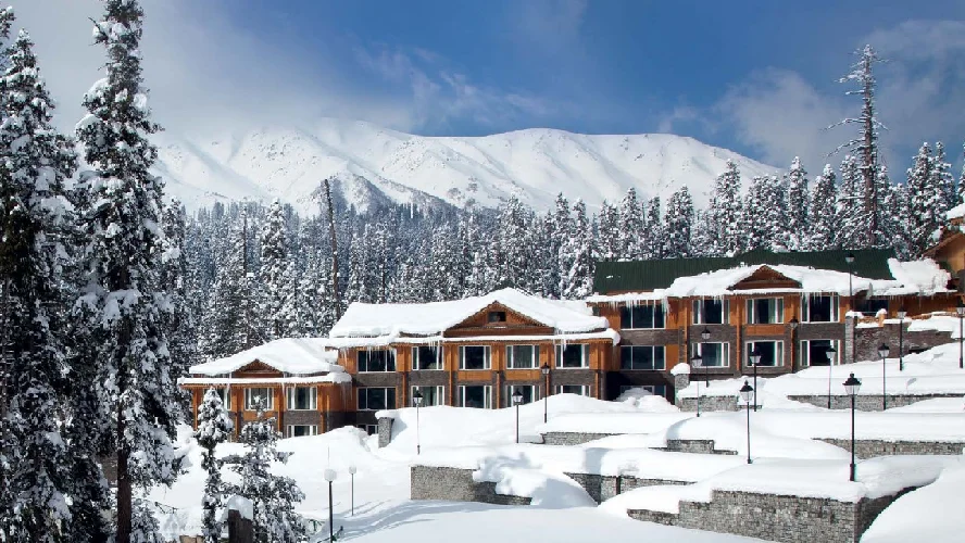Stunning Auli Tour Package