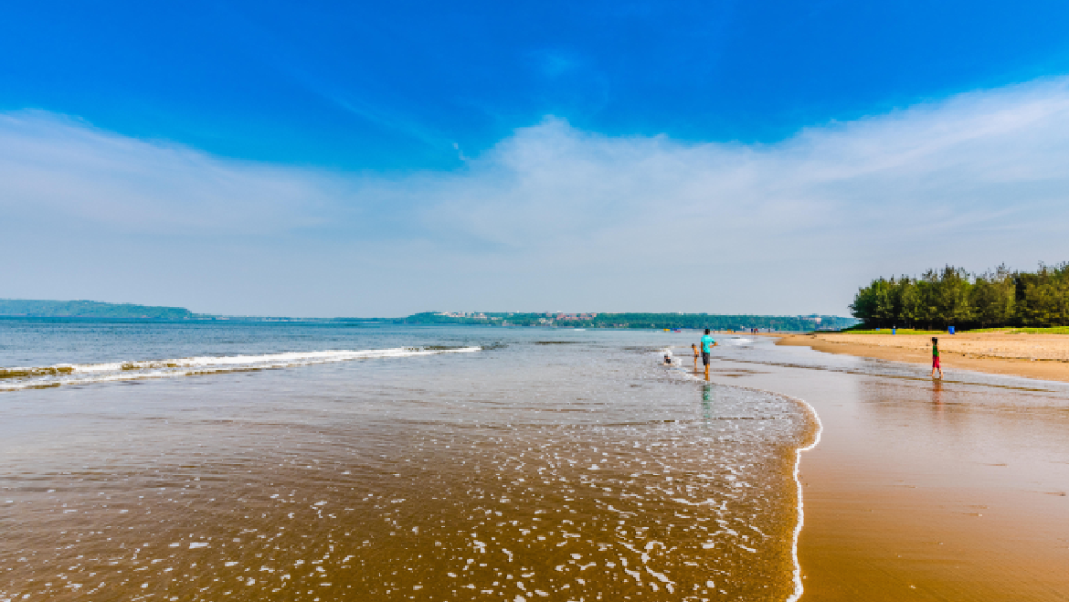 Splendid Goa Island Tour With Dudhsagar Falls