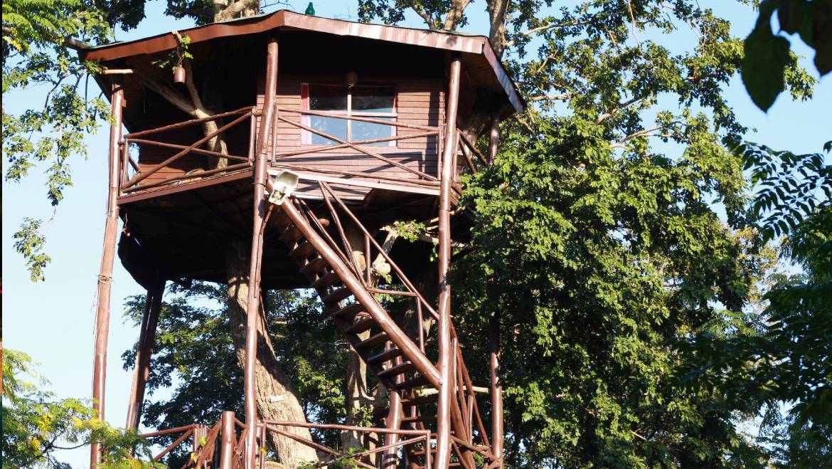 ashoka tiger trail resort