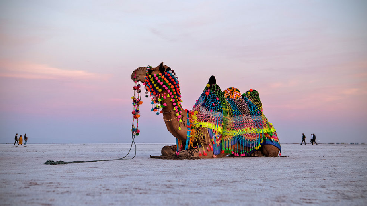 Gleeful Rann Of Kutch Tour Package